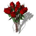 dozen_red_roses_expand_vase_md_wht.gif (22579 bytes)
