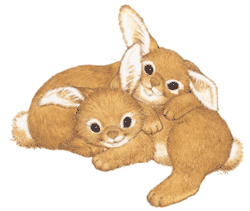 rabbits2.gif (17595 bytes)